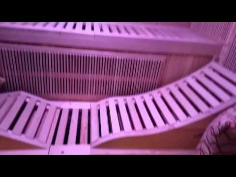 Celebration Saunas - Jupiter 6 Person Infrared Sauna - Guided Tour